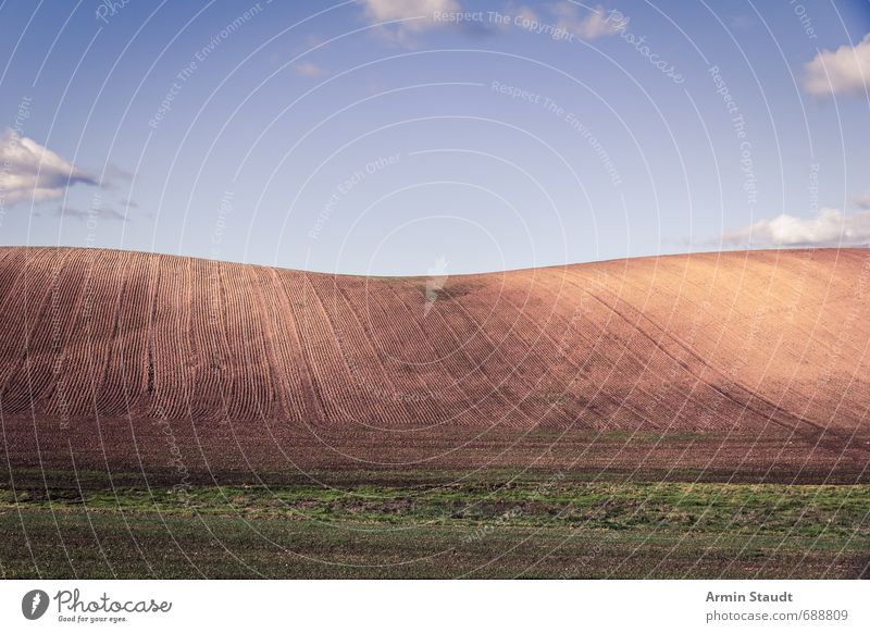 Schlichter Hügel und Wiese ruhig Meditation Ferne Sommer Umwelt Natur Landschaft Erde Himmel Wolken Frühling Schönes Wetter Feld Mecklenburg-Vorpommern