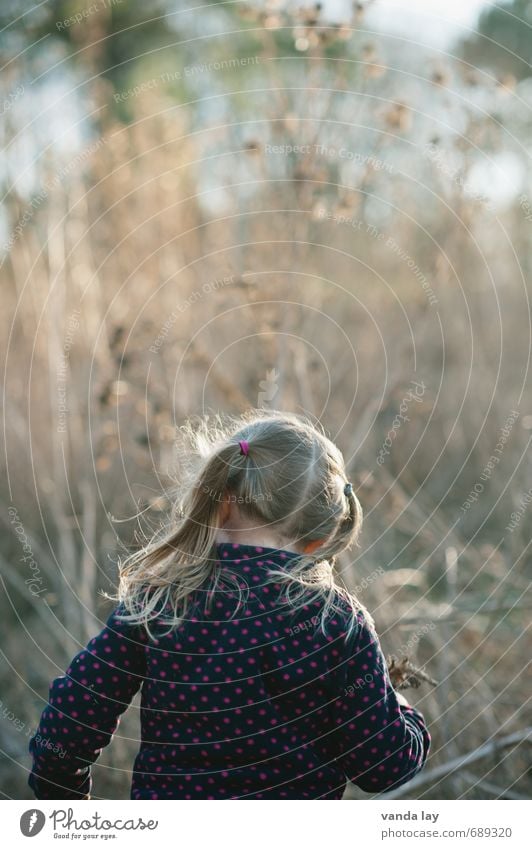 On the road... Lifestyle Spielen Freiheit Mensch feminin Kind Kleinkind Mädchen Kindheit 1 3-8 Jahre Umwelt Natur blond Zopf dehydrieren Mut Pfadfinder