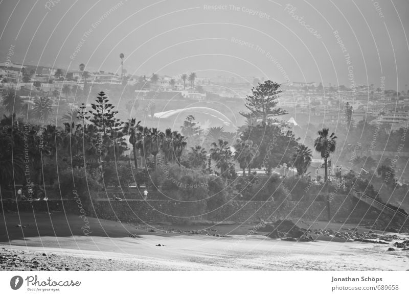 Puerto de la Cruz / Teneriffa XIII Umwelt Natur Wellen Küste Meer Insel ästhetisch Wellengang Gischt spritzen Meerwasser Wasser Kanaren Schwarzweißfoto