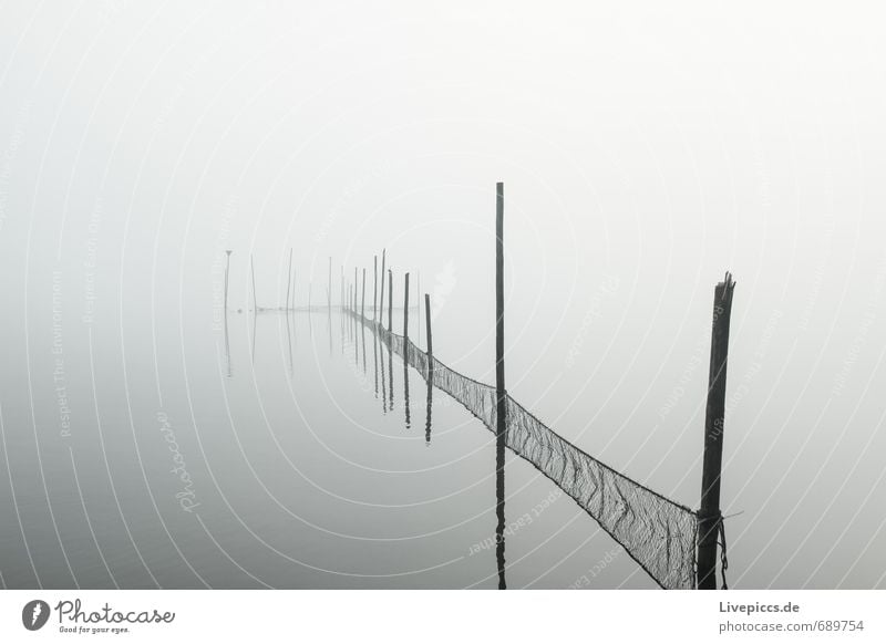 Seenplatte Angeln Tourismus Ausflug Umwelt Natur Landschaft Wasser Himmel Wolken Herbst Klima Wetter Nebel Seeufer dunkel kalt nass weich grau schwarz weiß