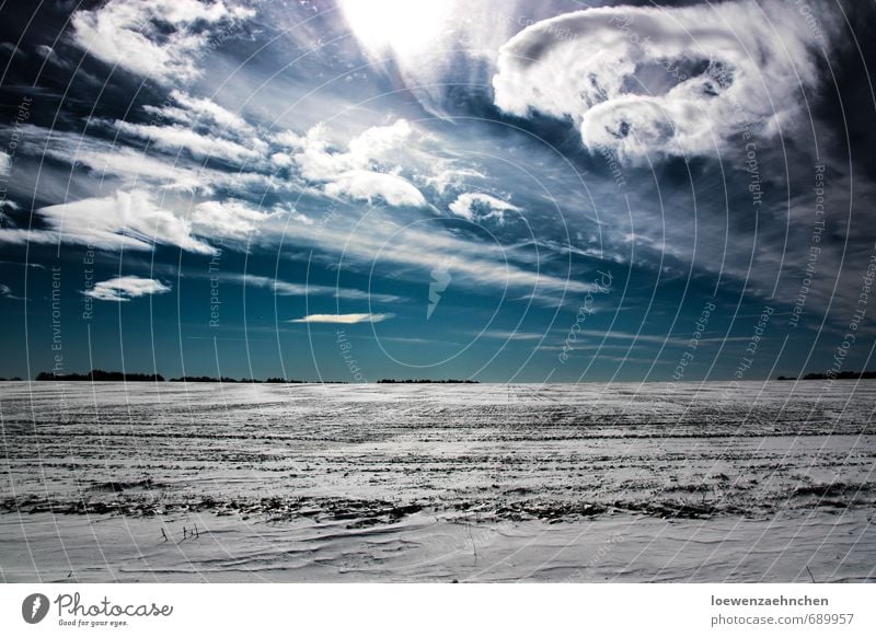 Durcheinander Landschaft Himmel Wolken Sonnenlicht Winter Schönes Wetter Schnee Feld Dorf Menschenleer Bewegung leuchten außergewöhnlich fantastisch