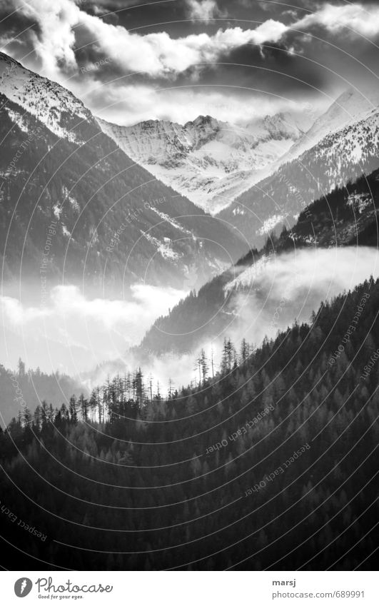 Blick ins Tal Natur Landschaft Himmel Wolken Frühling Herbst Winter Wetter Schönes Wetter Nebel Wald Hügel Felsen Alpen Berge u. Gebirge Gipfel