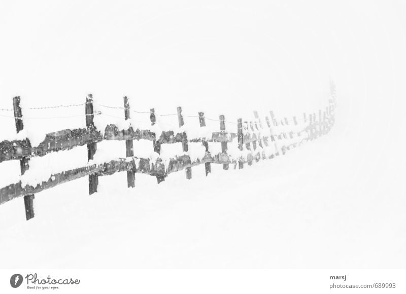 Noch nicht ganz vorbei Winter Schnee Natur schlechtes Wetter Nebel Eis Frost Schneefall Zaun Zaunpfahl Grenze Begrenzung Holz alt bedrohlich dunkel authentisch