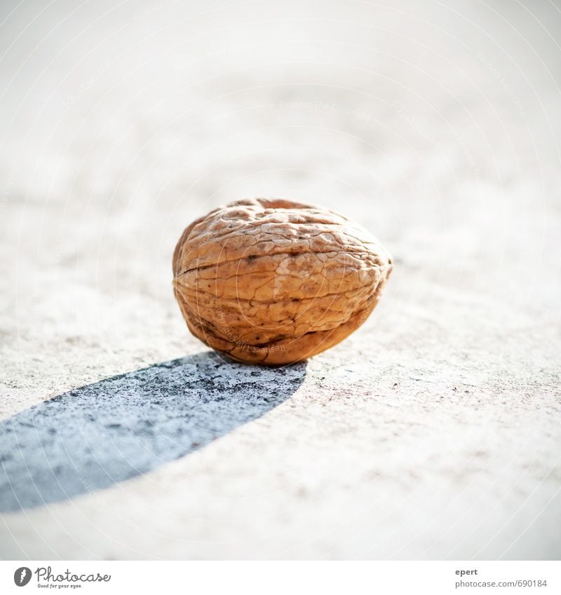 Nuss Walnuss ästhetisch einfach hell Natur Schutz essbar Hülle Nussschale Süßwaren Snack Farbfoto Außenaufnahme Nahaufnahme Schwache Tiefenschärfe