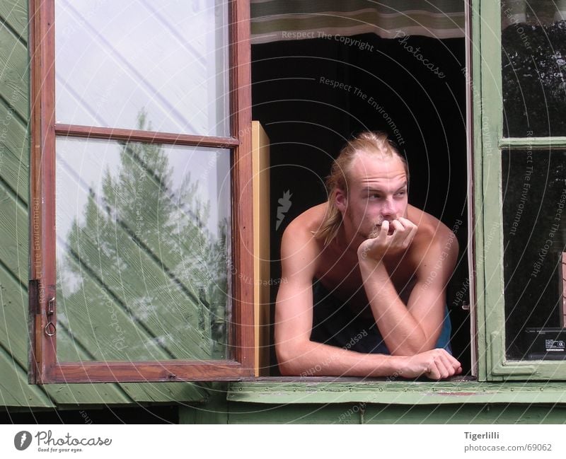 ruhe in schweden ruhig Geborgenheit Freundlichkeit Mann blond langhaarig Denken Gedanke Nostalgie Fenster Fensterrahmen Reflexion & Spiegelung Baum Porträt grün