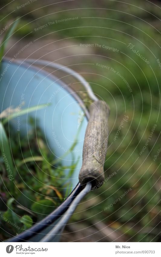 henkelmännchen Garten Umwelt Natur Pflanze Gras Wiese grün Frühlingsgefühle Eimer Tragegriff Griff Unkraut Gartenarbeit Gärtner holzgriff Wildpflanze Metall