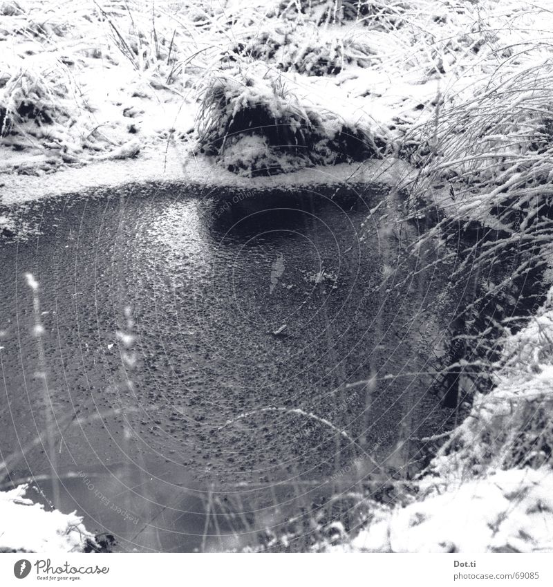 Winterlandschaft mit eisigem Wasser analog Teich See Pfütze Schlamm Moor Sumpf Loch matschig Seeufer Flussufer Saum Eis Schnee kalt gefroren Frost frieren tauen