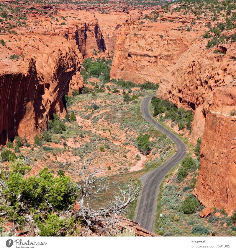 mittendurch Ferien & Urlaub & Reisen Abenteuer Ferne Landschaft Klima Klimawandel Sträucher Felsen Schlucht Straße Wege & Pfade braun grün Platzangst erleben