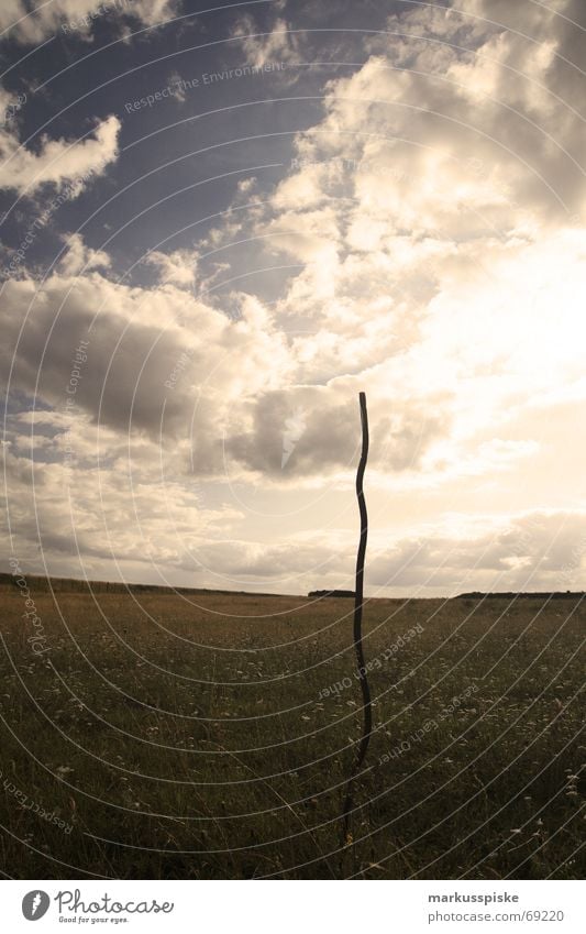 auch stahl kann wachsen Wiese Gras Wolken Stahl Eisen Himmel Sonne