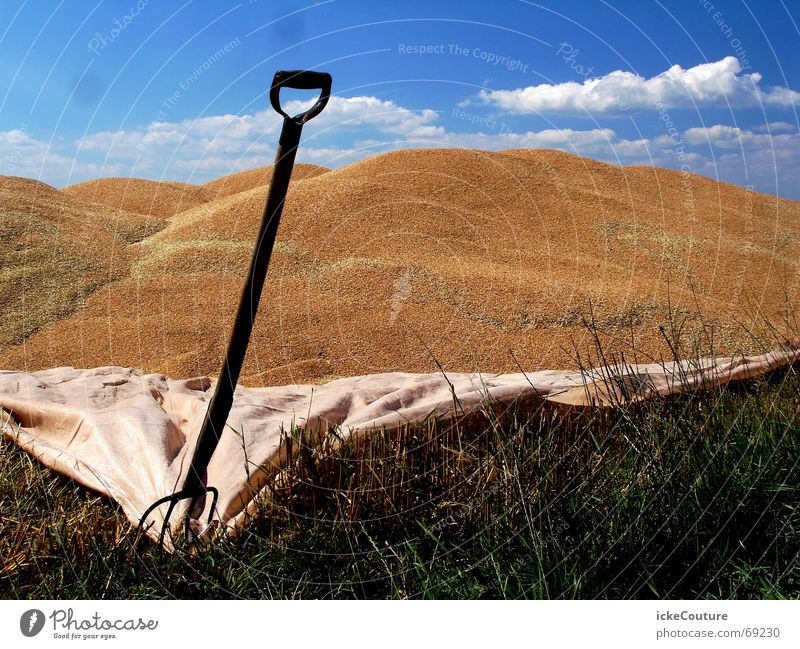 Dünenbau in Dänemark Spaten Schaufel Abdeckung Grenze Blauer Himmel Sand Rasen Stranddüne Berge u. Gebirge