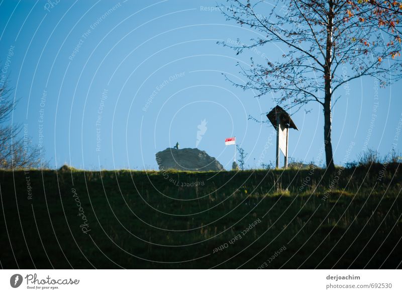 Im Hintergrund ist eine Person zu sehen die auf einem hohen Felsen steht.Rechts von ihm weht eine Fahne am Mast. Im vordergrund steht ein Hinweisschild mit Baum. Der Himmel ist ohne Wolken.Gipfelstürmer