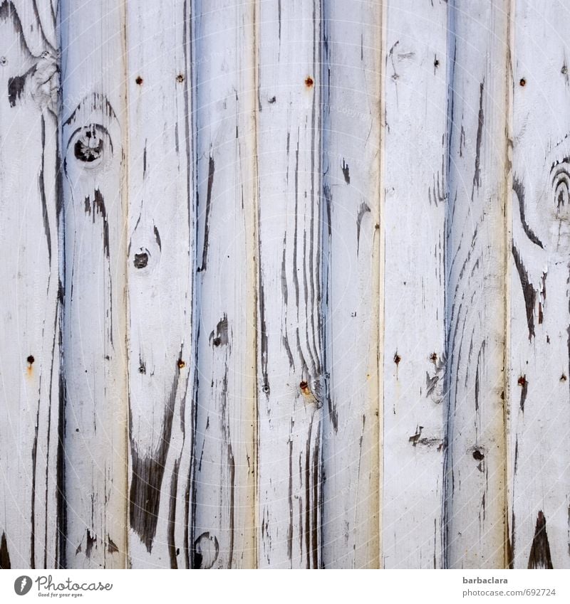 Zebrastreifen Mauer Wand Fassade Tür Holz Zeichen Ornament Linie Streifen grau schwarz Natur Schutz Häusliches Leben Gedeckte Farben Außenaufnahme abstrakt