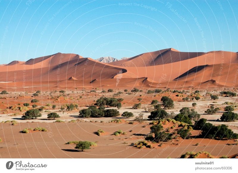 Wüstenzauber Namibia Sossusvlei ruhig Einsamkeit Afrika Aussicht unberührt Stranddüne Ferne Sand Natur