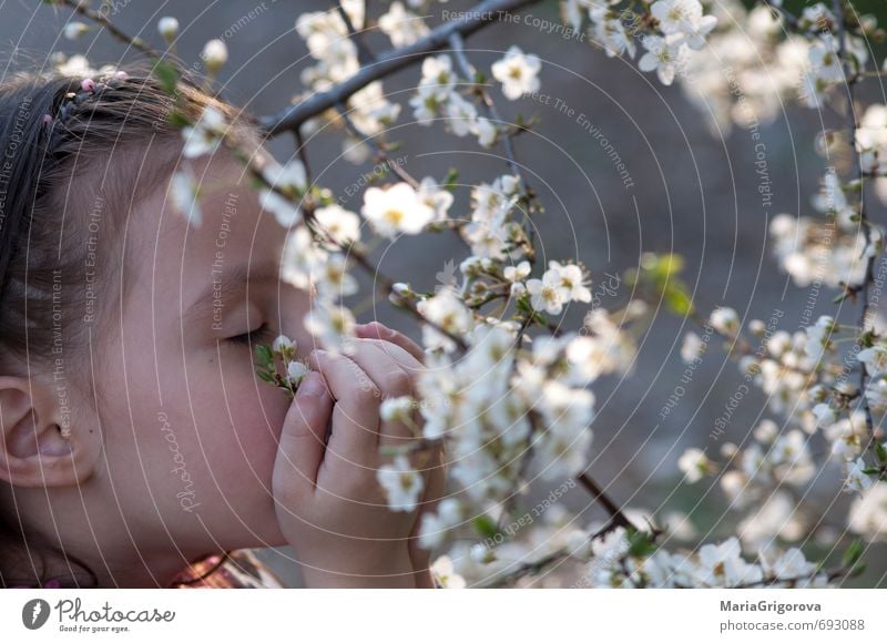 Federgefühl Freiheit Garten Kind Mädchen Gesicht 1 Mensch 3-8 Jahre Kindheit Natur Sonne Frühling Schönes Wetter Baum Blüte Blühend Fröhlichkeit gut schön