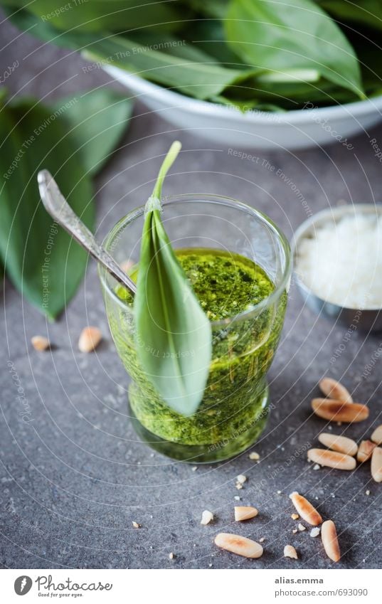 Bärlauchpesto Pesto bärlauchpesto Waldfrucht Knoblauch Kräuter & Gewürze Geschmackssinn Saucen Dip Pinienkern Speise Essen Foodfotografie Lebensmittel Öl Küche