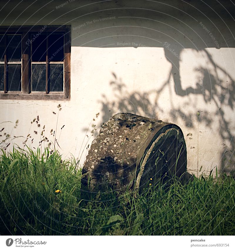 watermill blues Natur Pflanze Frühling Sommer Schönes Wetter Gras Mauer Wand Fenster Stein Gefühle Senior Einsamkeit Endzeitstimmung Zufriedenheit Kultur