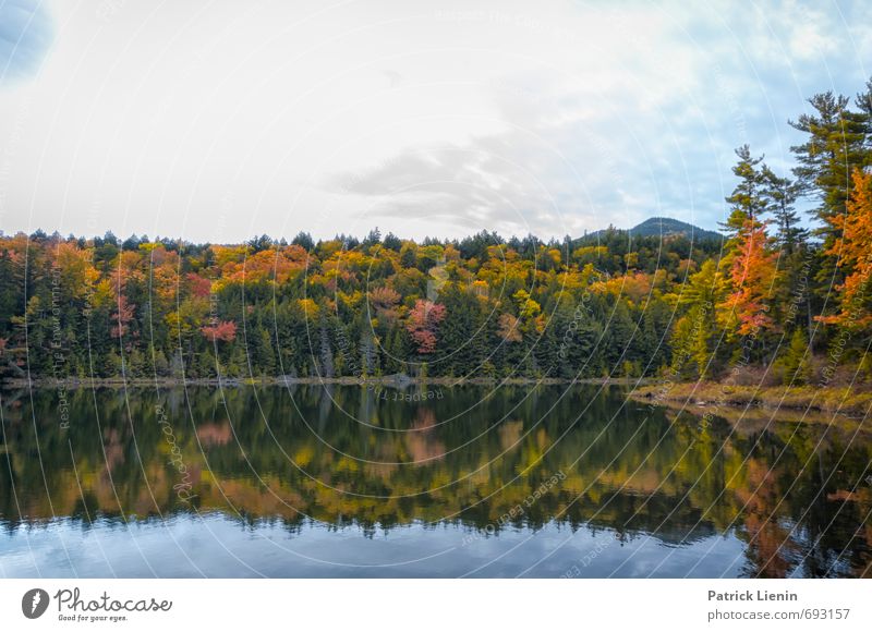 Indian Summer II Ferien & Urlaub & Reisen Tourismus Ausflug Abenteuer Ferne Freiheit Expedition Umwelt Natur Landschaft Luft Wasser Wolken Herbst Wetter Pflanze