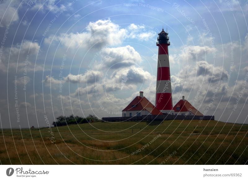 Westerhever Leuchtturm Eiderstedt Nordfriesland Wiese Wolken Gegenlicht warzeichen warft wärterhäuser Himmel