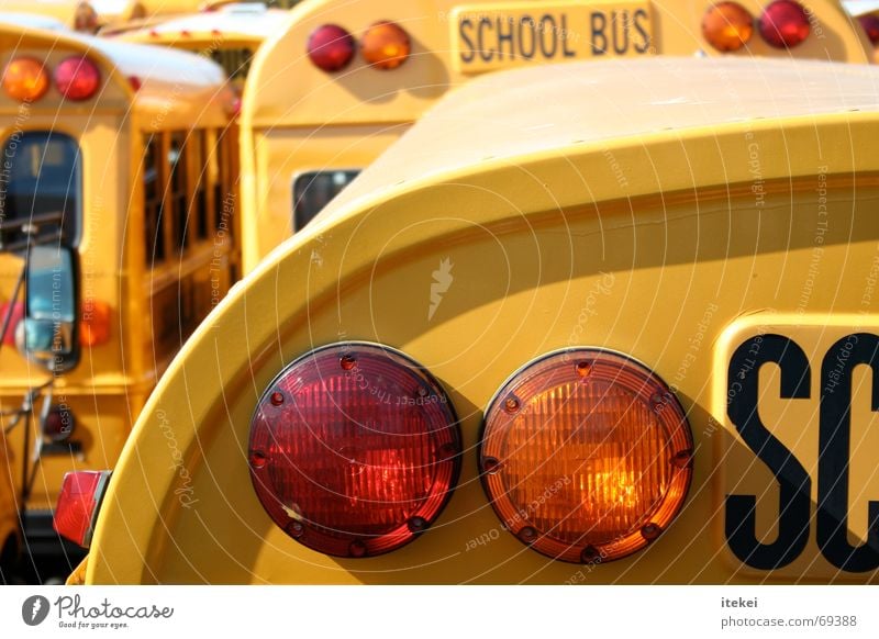 Jump The Bus Schulbus Bremslicht gelb Amerika Rücklicht USA Schule school Schüler Güterverkehr & Logistik transportation pupil