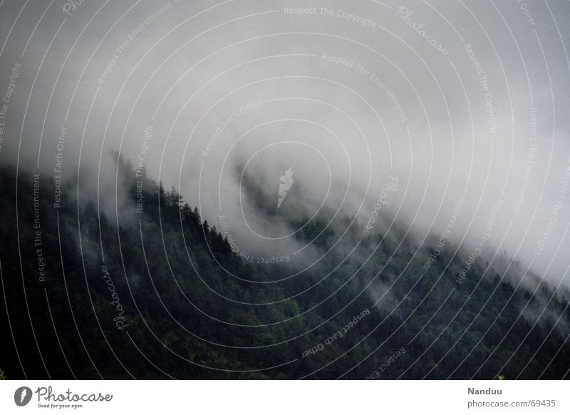 Nach dem Gewitter 2 Berge u. Gebirge Natur Wolken Nebel Regen Wald Alpen Angst Nadelbaum mystisch Bayern Oberbayern Europa Deutschland abgelegen fog mountains