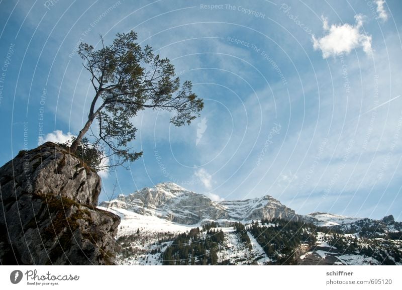 Sturm von links Umwelt Natur Landschaft Pflanze Himmel Wolken Winter Klima Klimawandel Wetter Schönes Wetter Eis Frost Hagel Schnee Felsen Alpen