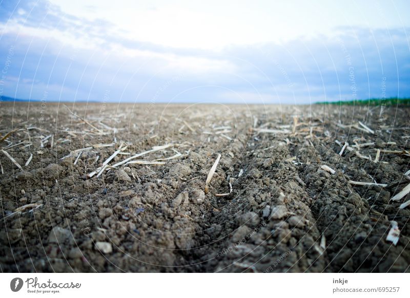 frisch gepflügt Arbeit & Erwerbstätigkeit Feld Feldarbeit Ackerbau Landwirtschaft Forstwirtschaft Umwelt Landschaft Urelemente Erde Luft Himmel Wolken Horizont