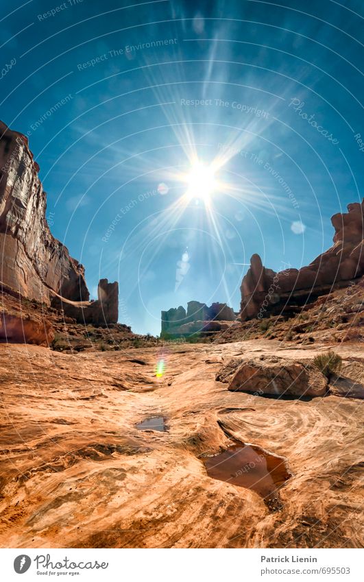 Desert Avenue Ausflug Abenteuer Ferne Freiheit Expedition Sommer Sonne Umwelt Natur Landschaft Urelemente Sand Himmel Wolkenloser Himmel Sonnenaufgang