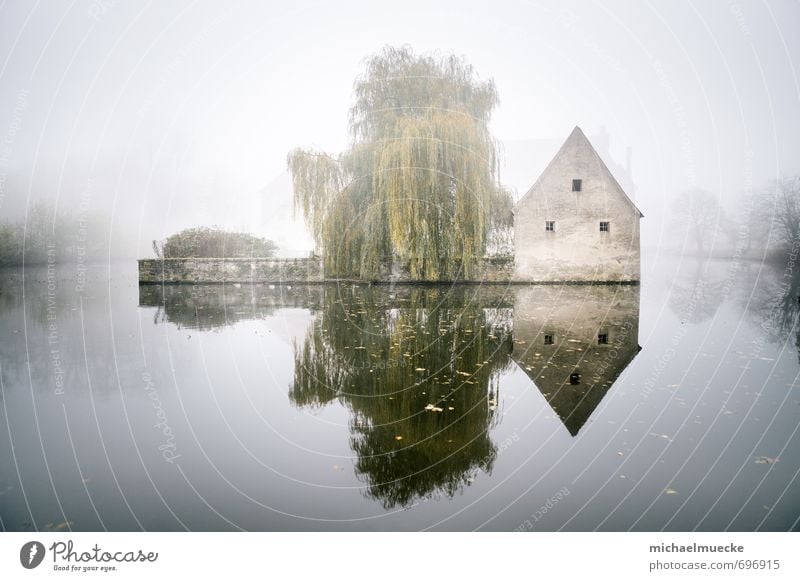 Castle in the mist ruhig Ferne Natur Landschaft Wasser Wetter Nebel Baum See hell grün Stimmung Einsamkeit geheimnisvoll alone available light bright calm