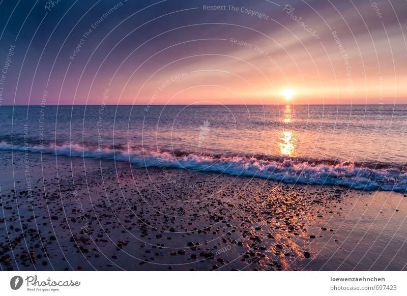 Wie die Sonne im Meer versinkt Natur Wasser Himmel Sonnenaufgang Sonnenuntergang Frühling Schönes Wetter Wellen Küste Strand Nordsee Erholung träumen