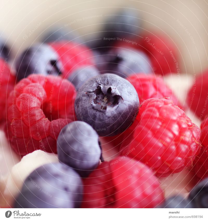 Vitamine Lebensmittel Frucht Ernährung Stimmung Blaubeeren Himbeeren Beeren lecker Appetit & Hunger Gesundheit Obstsalat Farbfoto Innenaufnahme Nahaufnahme