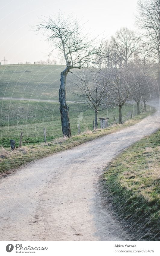 Es geht nicht immer nur geradeaus. Umwelt Natur Landschaft Himmel Wolkenloser Himmel Frühling Schönes Wetter Baum Gras Wiese Hügel Stadtrand Erholung