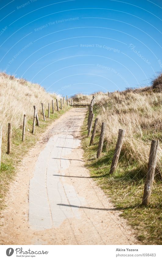 Weg ins Blaue Natur Landschaft Himmel Gras Sträucher Erholung Wachstum natürlich blau braun grau grün Idylle ruhig Wege & Pfade Düne Zaun Farbfoto Außenaufnahme