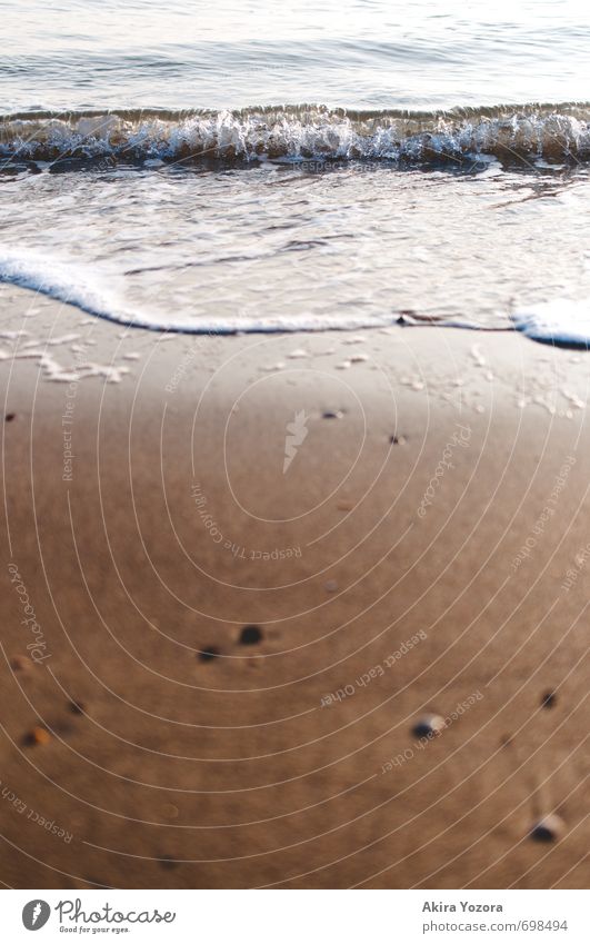 Nasses Glück Wasser Wellen Küste Strand Nordsee berühren Bewegung Erholung Flüssigkeit nass natürlich blau braun weiß Fernweh Ferien & Urlaub & Reisen