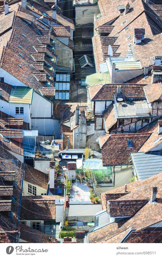 über den Dächern Stadt Menschenleer Haus Balkon Dach alt außergewöhnlich frei groß heiß schön braun grün weiß ruhig Design einzigartig Leben Bern Lukarne