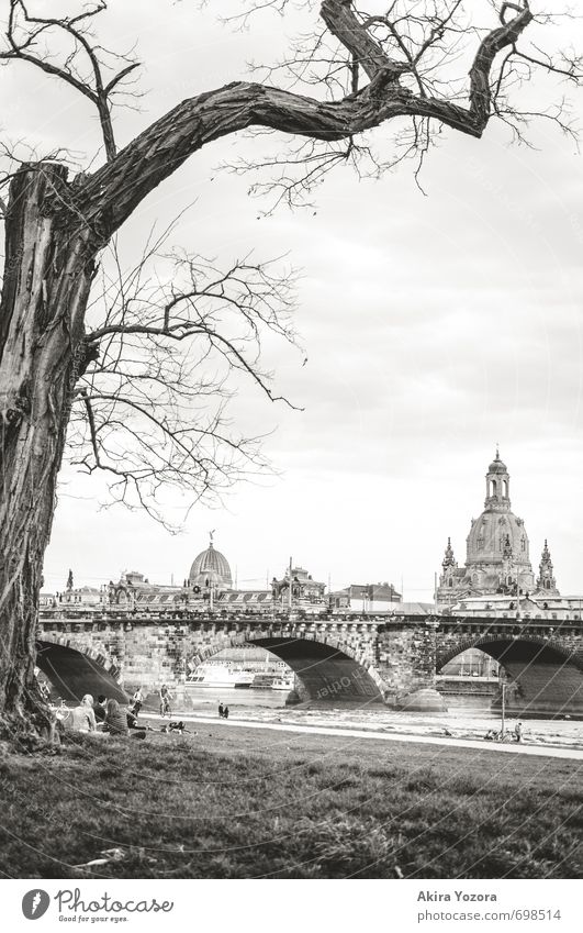 [250] Good old Dresden Himmel Wolken Frühling Baum Gras Wiese Flussufer Deutschland Stadt Hauptstadt Altstadt Kirche Brücke Architektur Sehenswürdigkeit