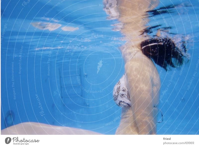 Kopfüber nass Frau Schwimmbad Bikini Spielen Wasser Schwimmen & Baden Leiter blau Haare & Frisuren Körper Brust Seite