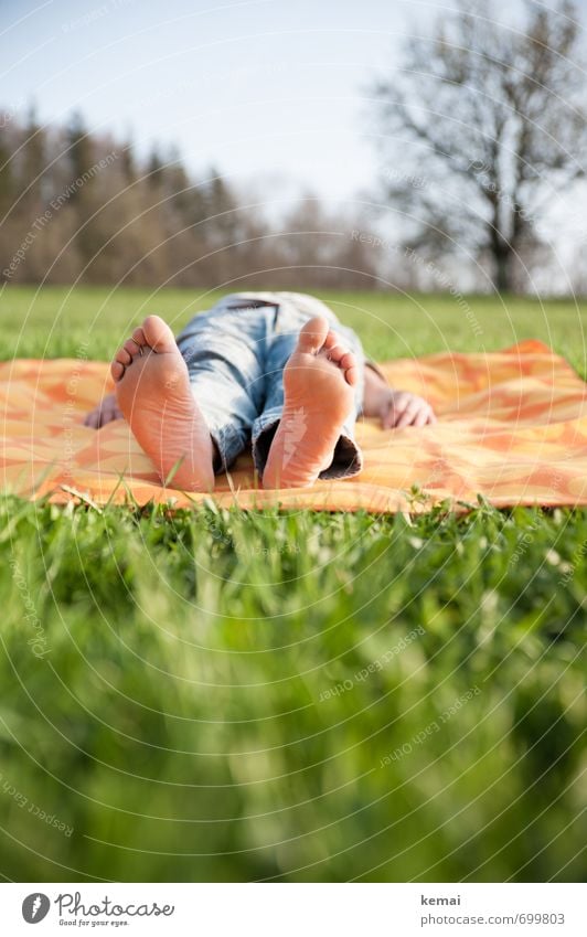 Frühlingsfüße Ausflug Mensch maskulin Hand Finger Fuß Fußsohle Zehen Natur Schönes Wetter Baum Gras Wiese Jeanshose Decke Picknickdecke Erholung liegen schlafen