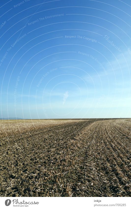 the beauty of freiraum Umwelt Natur Landschaft Urelemente Erde Luft Himmel Horizont Frühling Sommer Klima Wetter Schönes Wetter Feld Ferne frisch blau braun