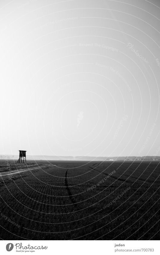 vorfrühling. harmonisch ruhig Freiheit Umwelt Natur Landschaft Frühling Feld Turm Hochsitz Verkehrswege Wege & Pfade natürlich Ferne Jagd Horizont Spuren