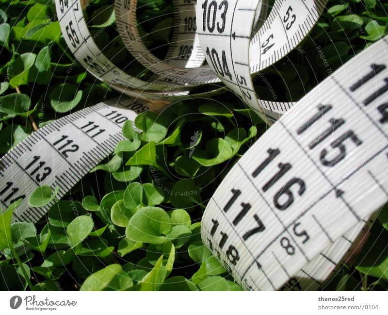 measuring nature clever Natur Trifili measure grass mezoura xorto