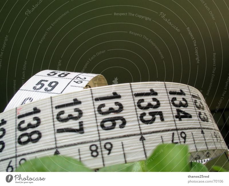 measuring... clever Natur Trifili measure grass mezoura xorto