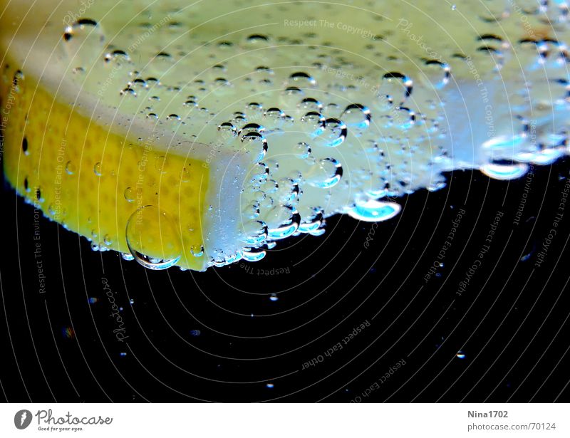 Citruswater Zitrone dunkel Stillleben gelb schwarz Wut Wasser Blase Vor dunklem Hintergrund