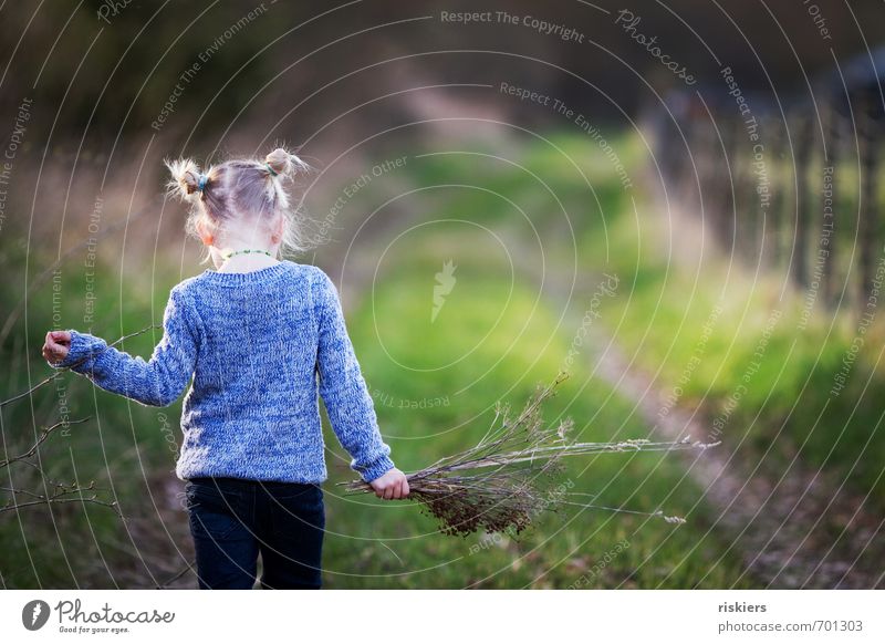 nimm dir zeit. Mensch feminin Kind Mädchen Kindheit Leben 1 3-8 Jahre Umwelt Natur Sonnenlicht Frühling Herbst Schönes Wetter Wiese Wald Erholung gehen genießen