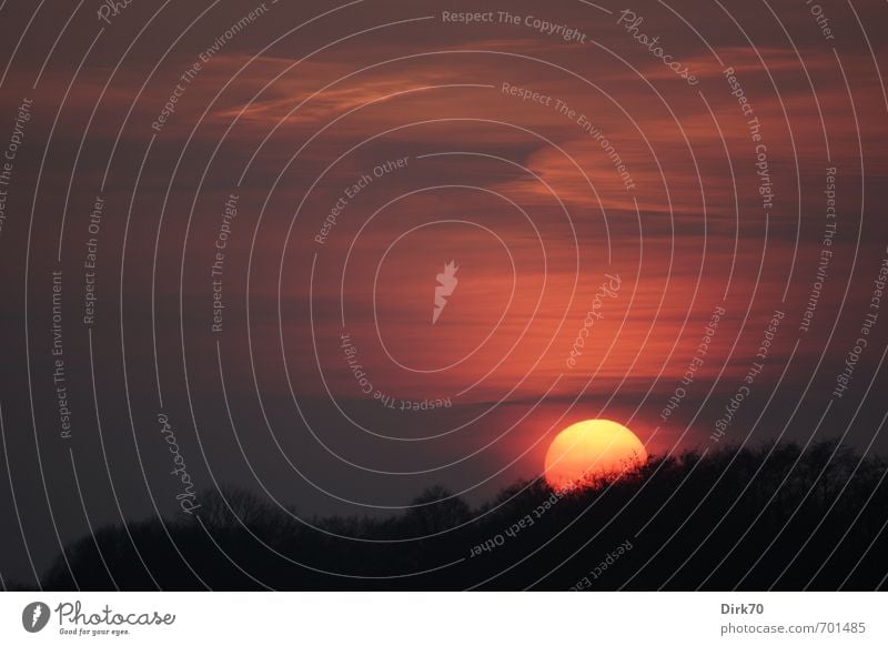 Thermonukleare Reaktion Umwelt Natur Feuer Wolken Sonne Sonnenaufgang Sonnenuntergang Sonnenlicht Frühling Schönes Wetter Baum Wald Wäldchen leuchten groß heiß