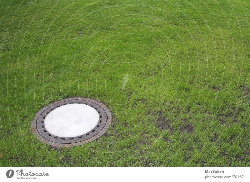 Gulli im grünen Gully Park Abwasser Kanalisation Abfluss Gras Wiese Rasen Bodenbelag Regen Wasser