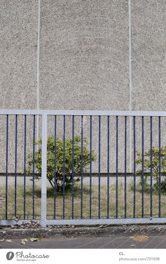 begrenzt Umwelt Natur Gras Sträucher Mauer Wand trist Frustration Langeweile Ordnung Schutz Sicherheit stagnierend Wandel & Veränderung Wege & Pfade Zaun