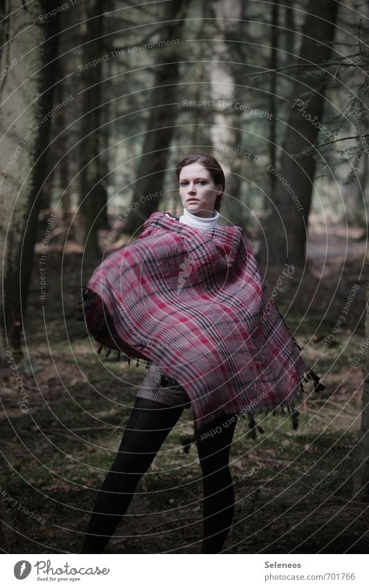 Indiana Mensch feminin Frau Erwachsene Gesicht 1 Umwelt Natur Herbst Pflanze Baum Wald Wärme weich Farbfoto Außenaufnahme Ganzkörperaufnahme Vorderansicht