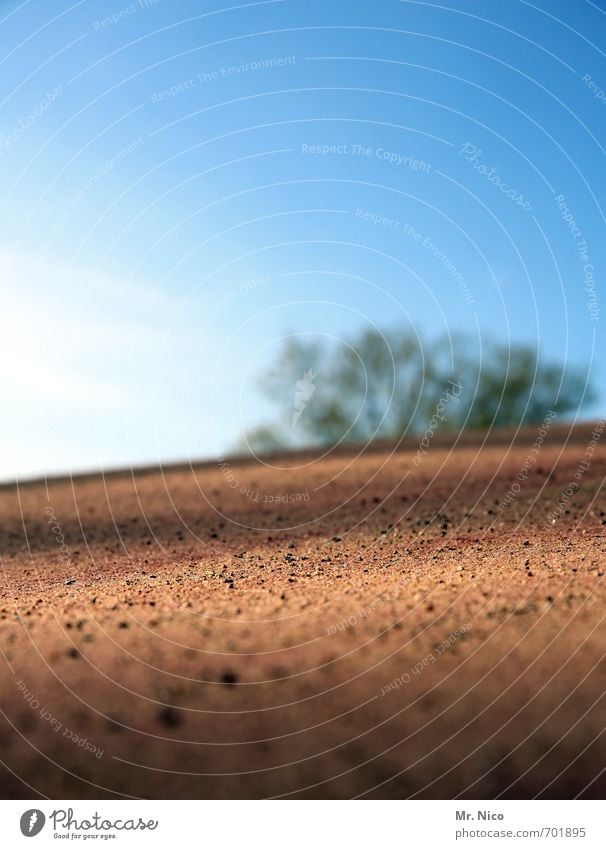 ut köln | oase Umwelt Erde Sand Wolkenloser Himmel Sonne Schönes Wetter Baum Garten Park Hügel trocken staubig Oase Spielplatz Sandhaufen Wärme Wüste heiß Natur