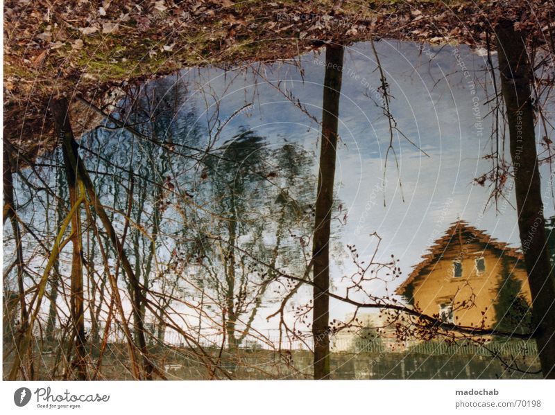 NATÜRLICHE IRRITATION | reflexion wasser idylle heimat kitsch Reflexion & Spiegelung Haus Romantik Baum Bach Sommer harmonisch schön bezaubernd Heimat trösten