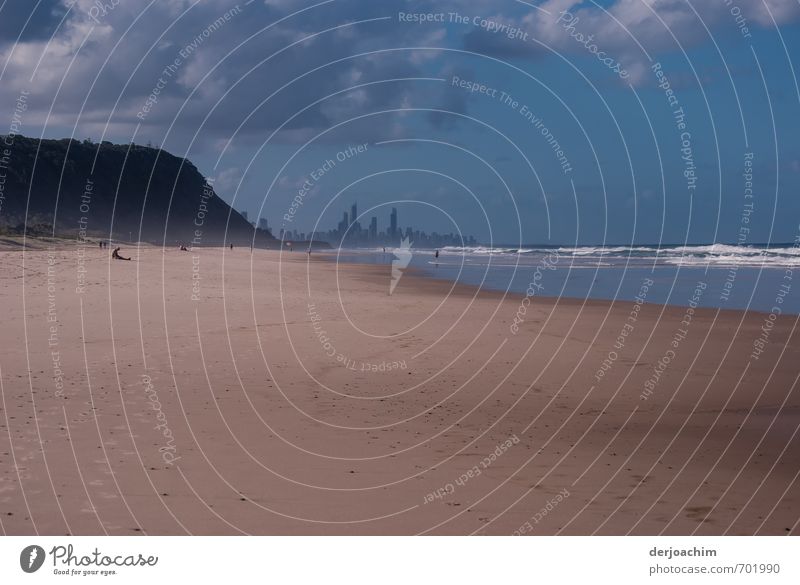 Wunderschöne Aussicht mit Blick auf Surfers Paradise. Der lange Sandstrand mit links von ihm der National Park lädt zum verweilen ein. Umwelt Landschaft Wasser